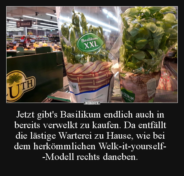 Jetzt gibt's Basilikum endlich auch in bereits verwelkt zu..