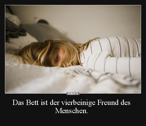Das Bett ist der vierbeinige Freund des Menschen... - Lustige Bilder | DEBESTE.de