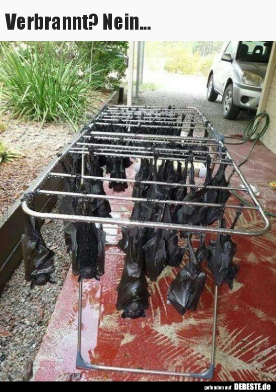 Verbrannt? Nein...