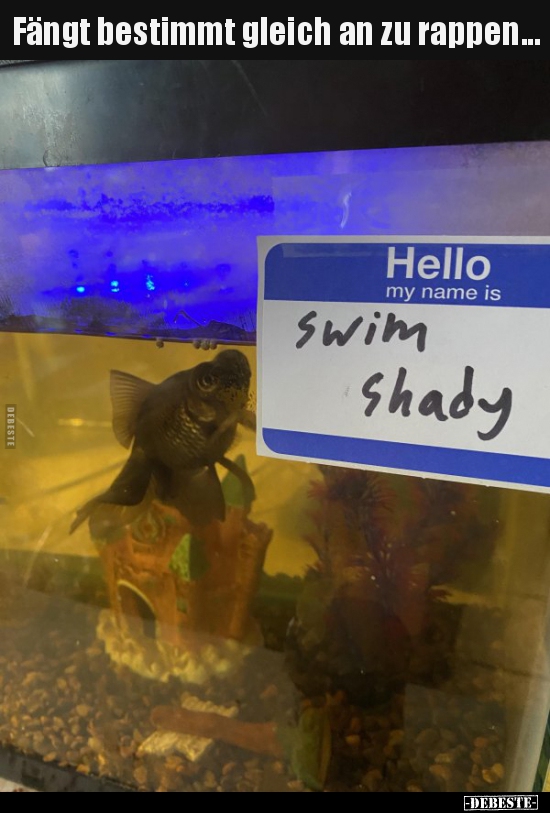 Fängt bestimmt gleich an zu rappen...