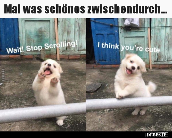 Mal was schönes zwischendurch...