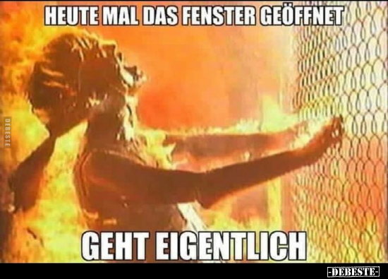 Heute mal das Fenster geöffnet. Geht eigentlich... - Lustige Bilder | DEBESTE.de