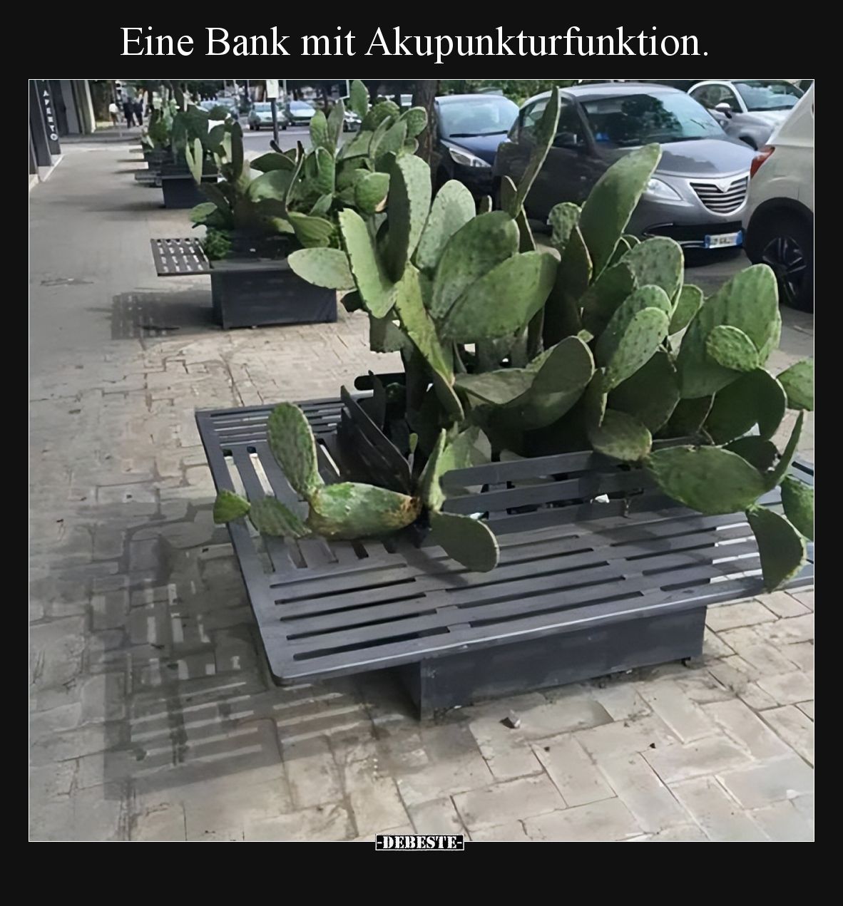 Eine Bank mit Akupunkturfunktion