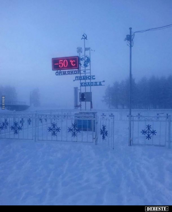  - Lustige Bilder | DEBESTE.de