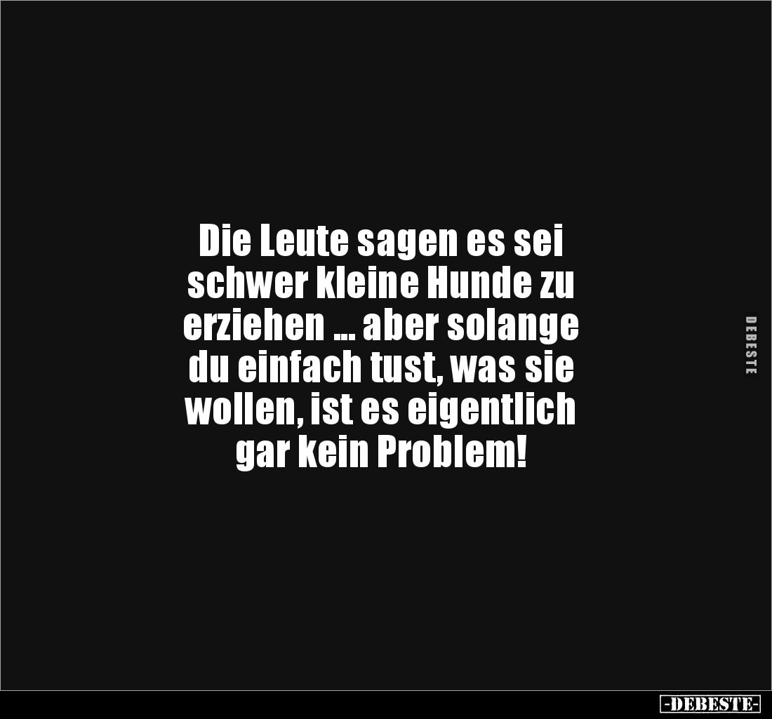Die Leute sagen es sei 
schwer kleine Hunde zu 
erziehen ... aber solange
du einfach tust, was sie 
wollen, ist es eigent...