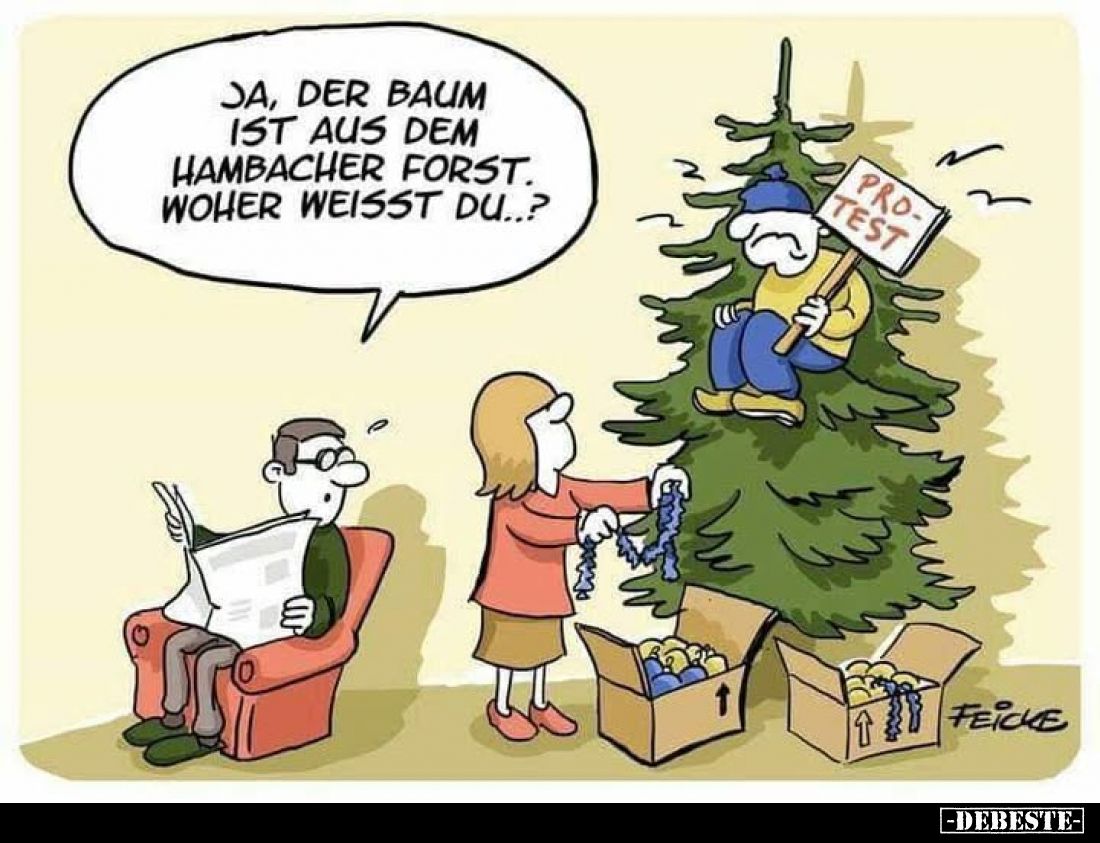 Ja, der Baum ist aus dem Hambacher Forst. Woher weisst du..?