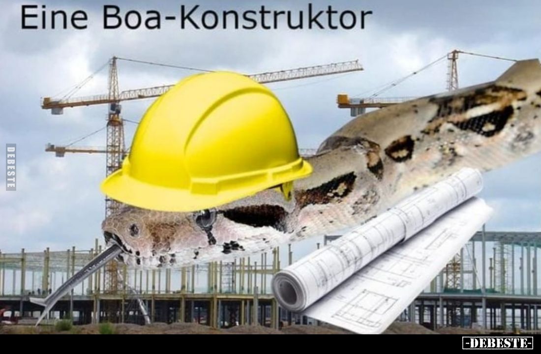 Eine Boa-Konstruktor