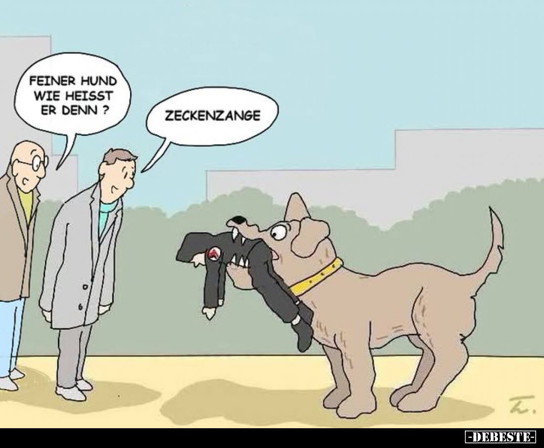 Feiner Hund wie heisst er denn?
-
Zeckenzange