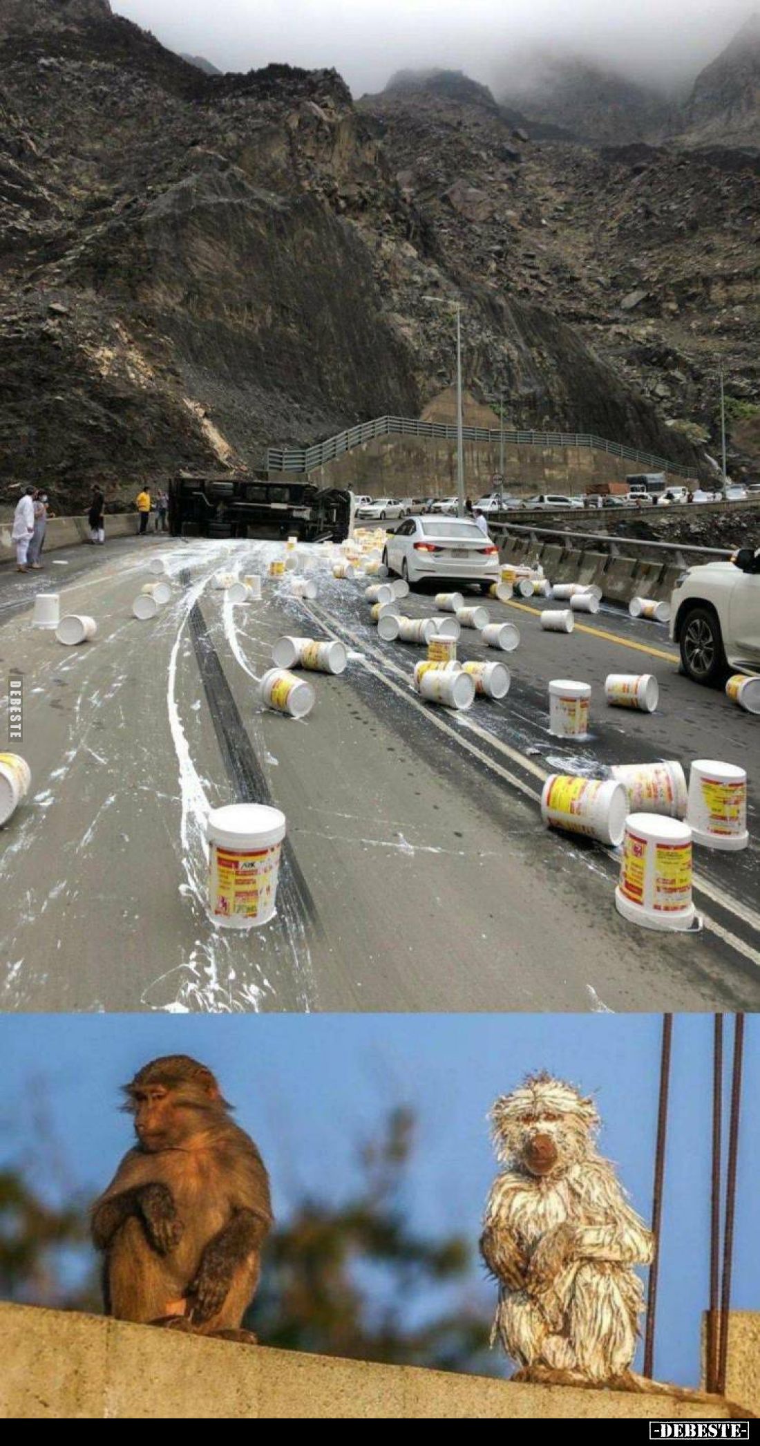  - Lustige Bilder | DEBESTE.de