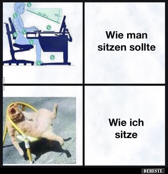 Wie man sitzen sollte.. - Lustige Bilder | DEBESTE.de