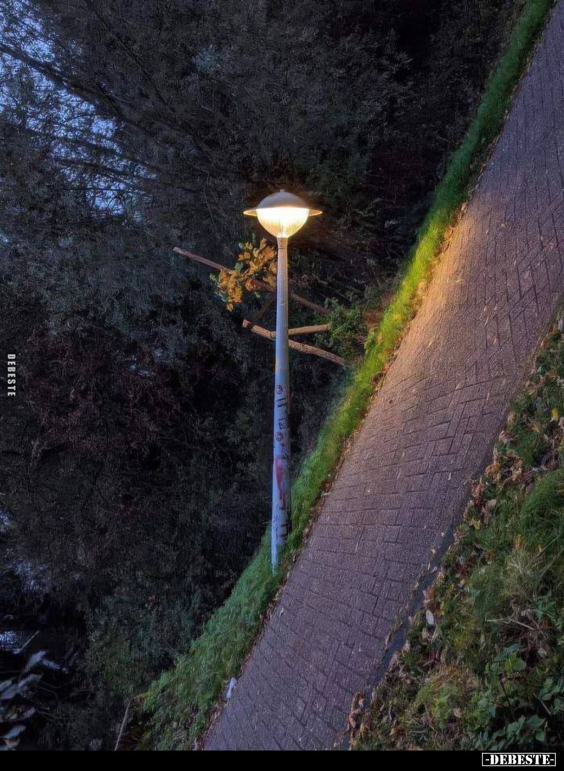  - Lustige Bilder | DEBESTE.de