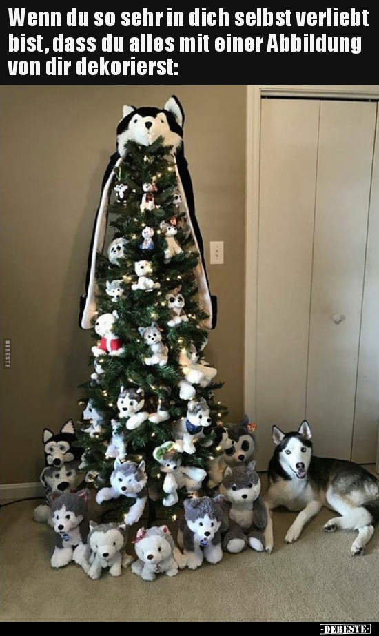 weihnachtsbaum lustig, hunde