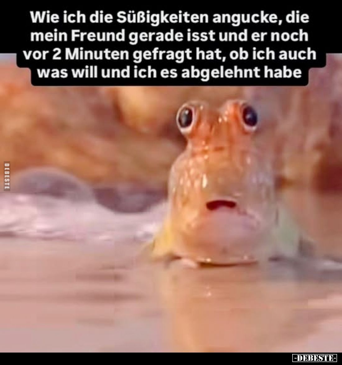 Wie ich die Süßigkeiten angucke, die mein Freund gerade isst und er noch vor 2 Minuten gefragt hat, ob ich auch was will und ...