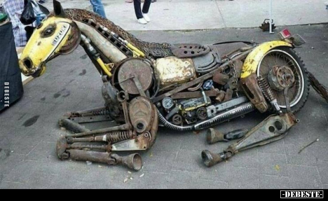  - Lustige Bilder | DEBESTE.de