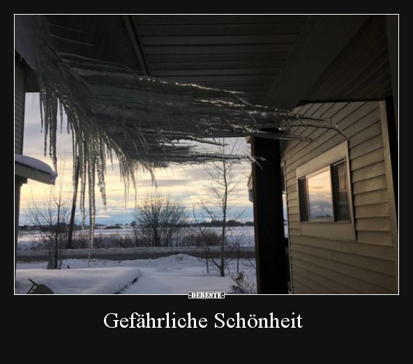 Gefährliche Schönheit..