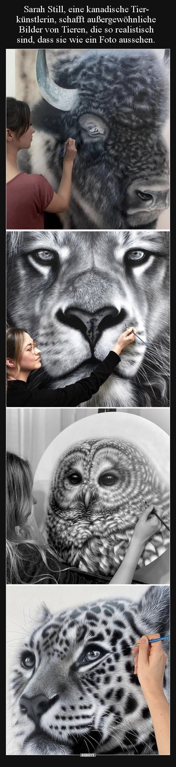 Sarah Still, eine kanadische Tierkünstlerin, schafft.. - Lustige Bilder | DEBESTE.de
