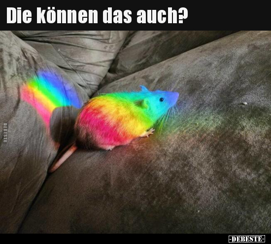 Die können das auch?..