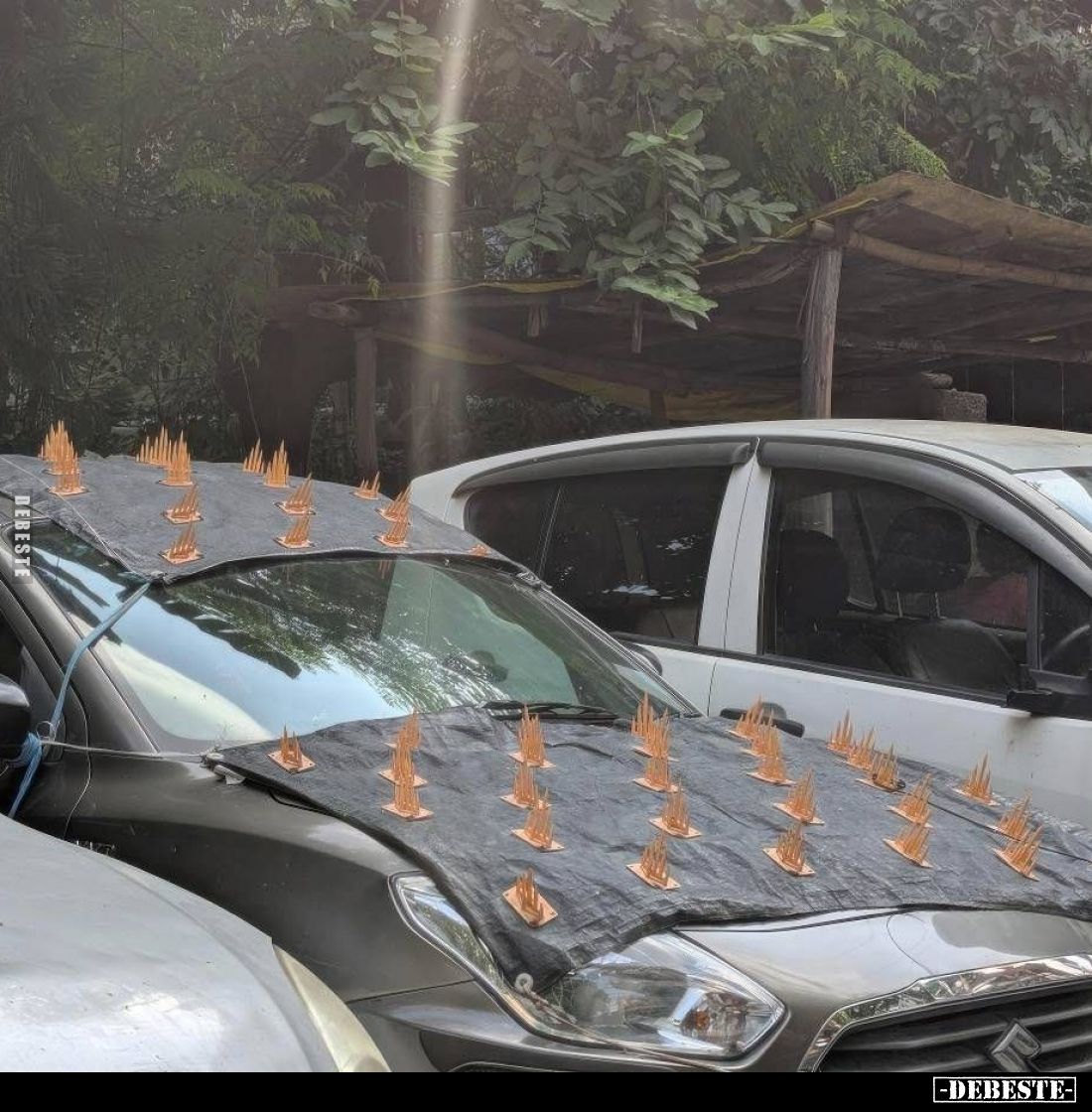  - Lustige Bilder | DEBESTE.de