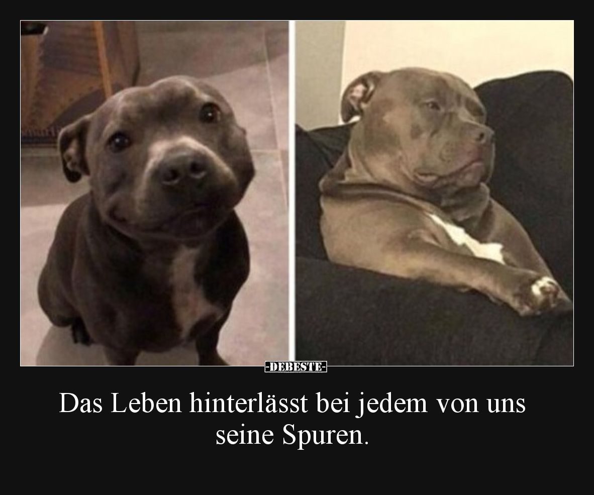 Das Leben hinterlässt bei jedem von uns seine Spuren.