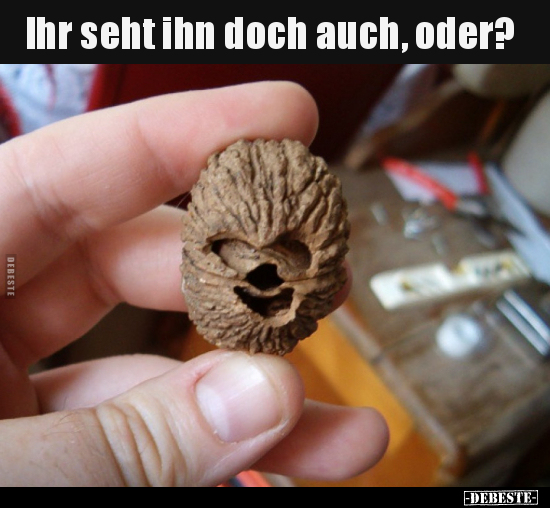 Ihr seht ihn doch auch, oder?..