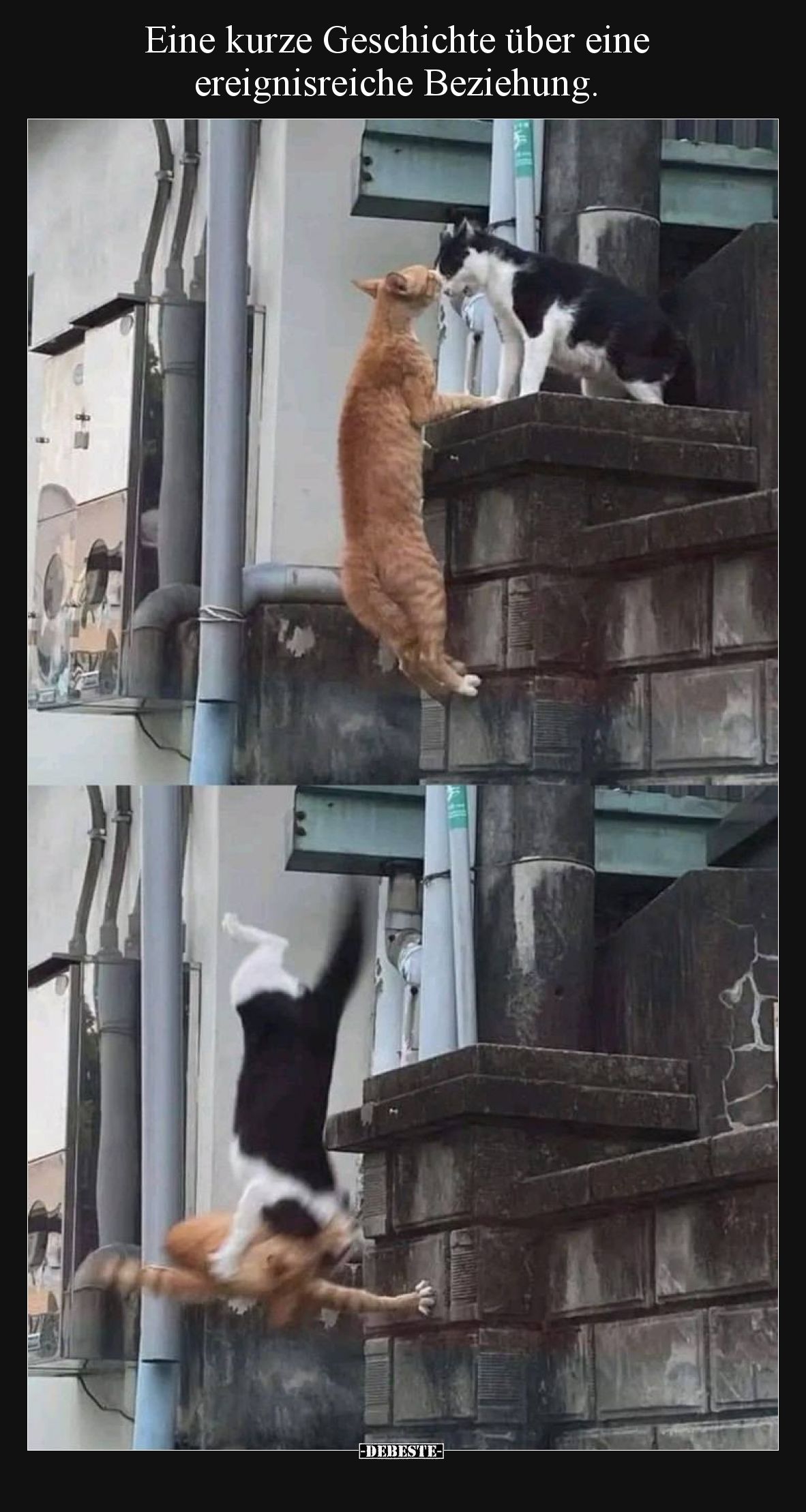 Eine kurze Geschichte über eine ereignisreiche Beziehung.