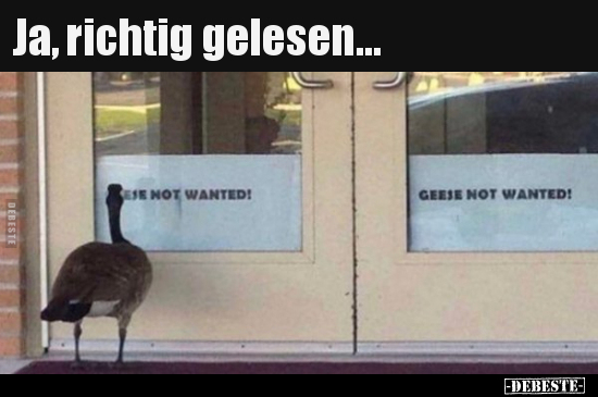 Ja, richtig gelesen...