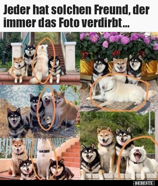 Jeder hat solchen Freund, der immer das Foto..