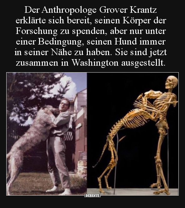 Der Anthropologe Grover Krantz erklärte sich bereit.. - Lustige Bilder | DEBESTE.de