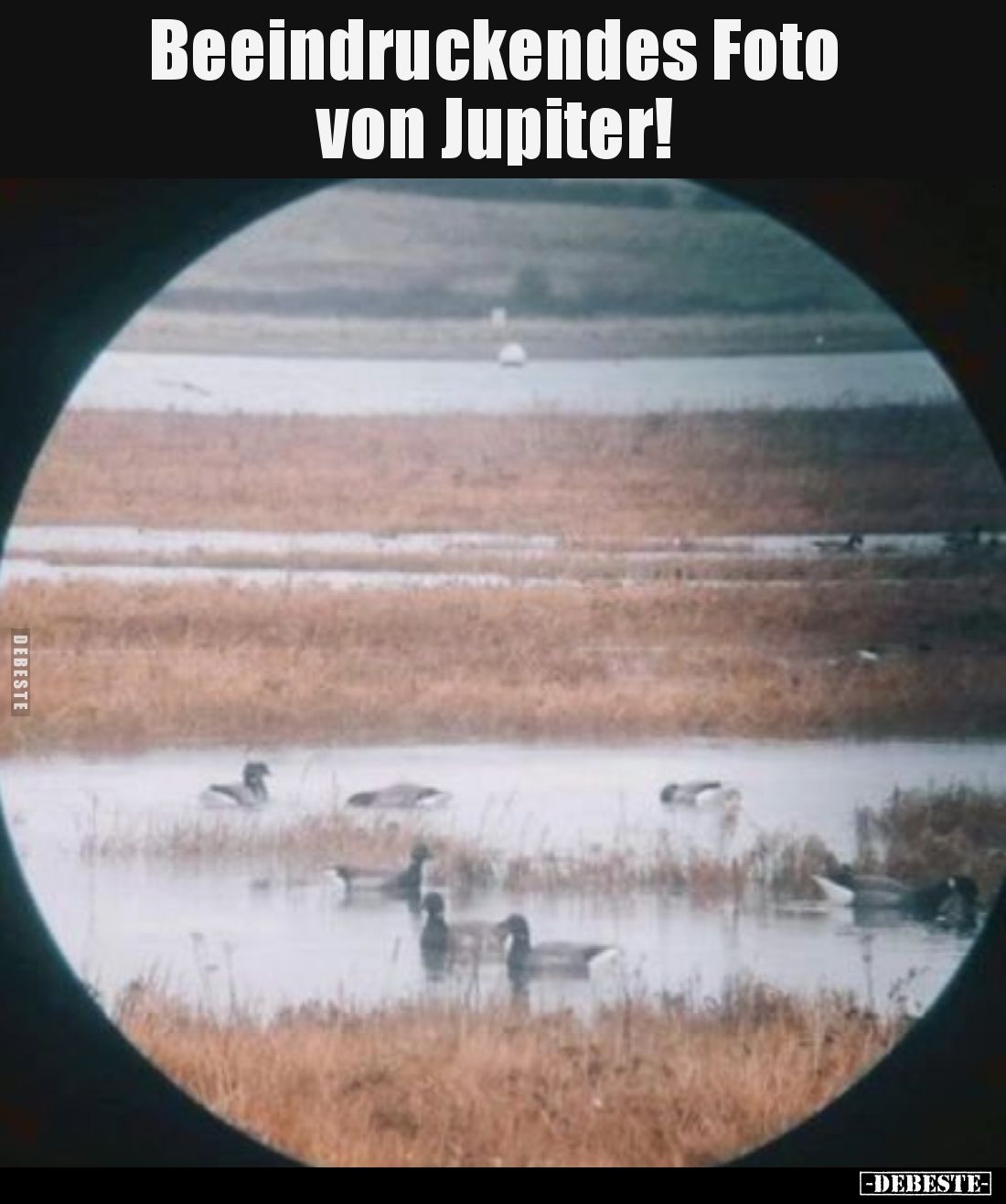 Beeindruckendes Foto von Jupiter!