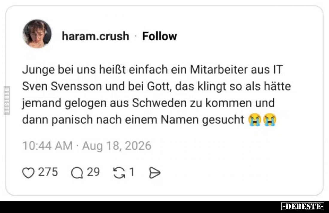 Junge bei uns heißt einfach ein Mitarbeiter aus IT Sven Svensson und bei Gott, das klingt so als hätte jemand gelogen aus Sch...