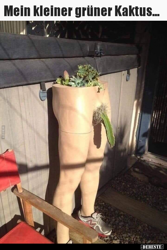Mein kleiner grüner Kaktus...