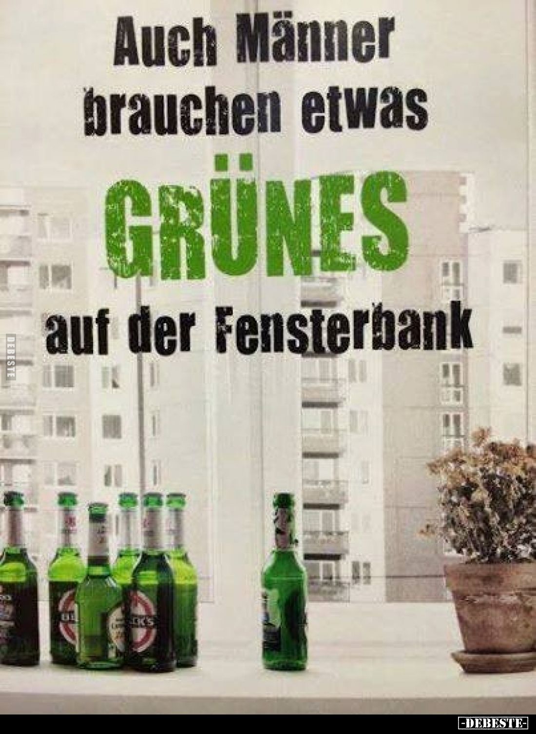 Auch Männer brauchen etwas GRÜNES
auf der Fensterbank