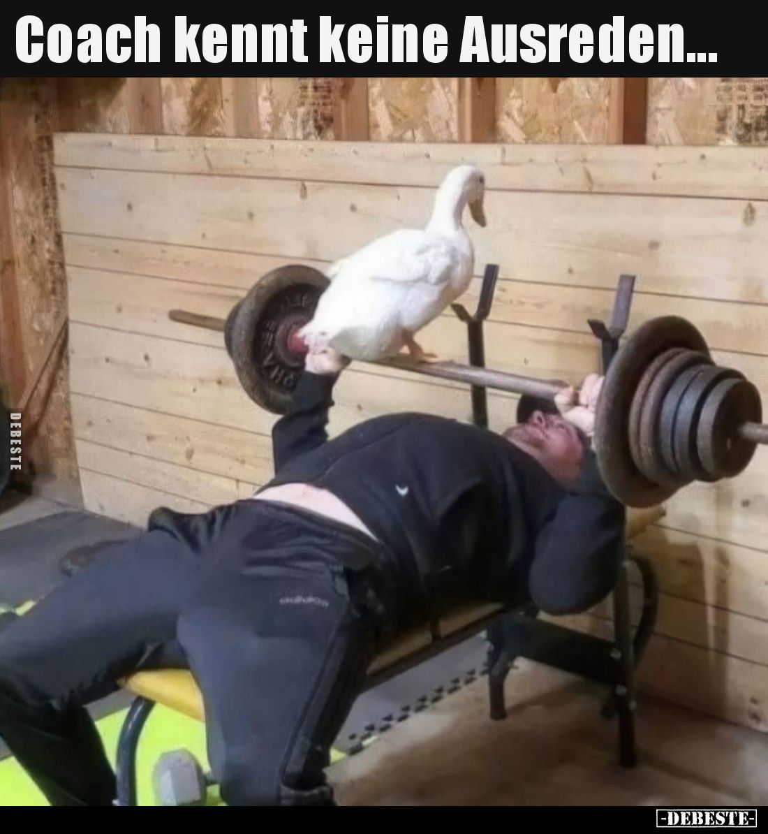 Coach kennt keine Ausreden.