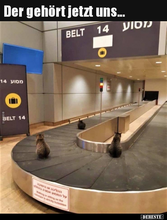 Der gehört jetzt uns...