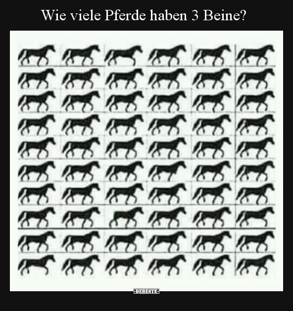 Wie viele Pferde haben 3 Beine?.. - Lustige Bilder | DEBESTE.de