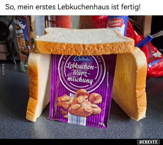 So, mein erstes Lebkuchenhaus ist fertig!.. - Lustige Bilder | DEBESTE.de