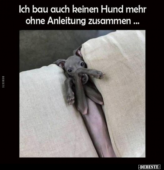 Ich bau auch keinen Hund mehr ohne Anleitung zusammen.. - Lustige Bilder | DEBESTE.de