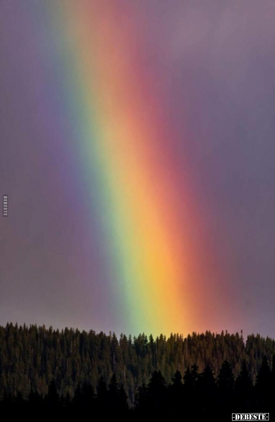  - Lustige Bilder | DEBESTE.de