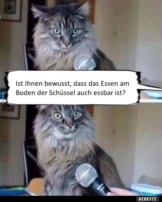 Ist Ihnen bewusst, dass das Essen am Boden der Schüssel..