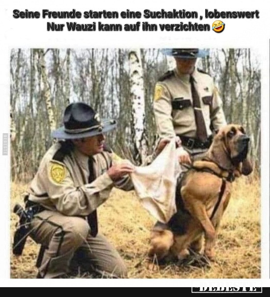  - Lustige Bilder | DEBESTE.de