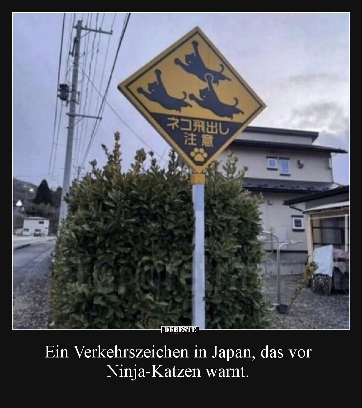 Ein Verkehrszeichen in Japan, das vor Ninja-Katzen warnt.