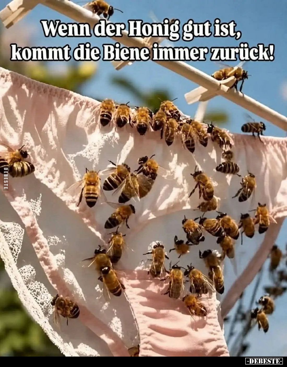 Wenn der Honig gut ist, kommt die Biene immer zurück!