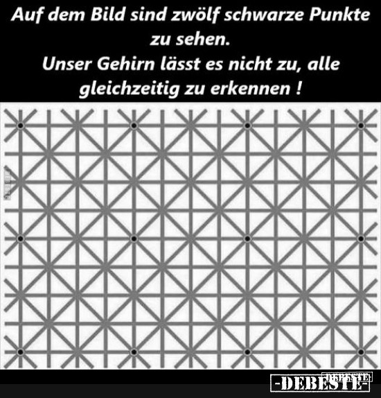  - Lustige Bilder | DEBESTE.de