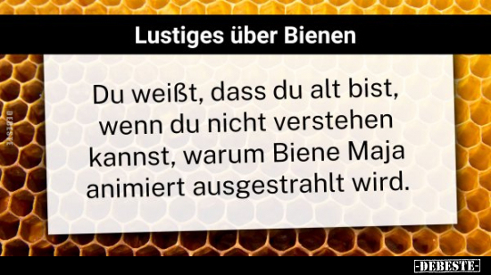 Lustiges über Bienen - Du weißt, dass du alt bist, wenn du.. - Lustige Bilder | DEBESTE.de