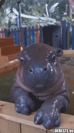 ☺ - Lustige Bilder | DEBESTE.de