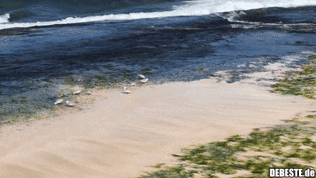  - Lustige Bilder | DEBESTE.de