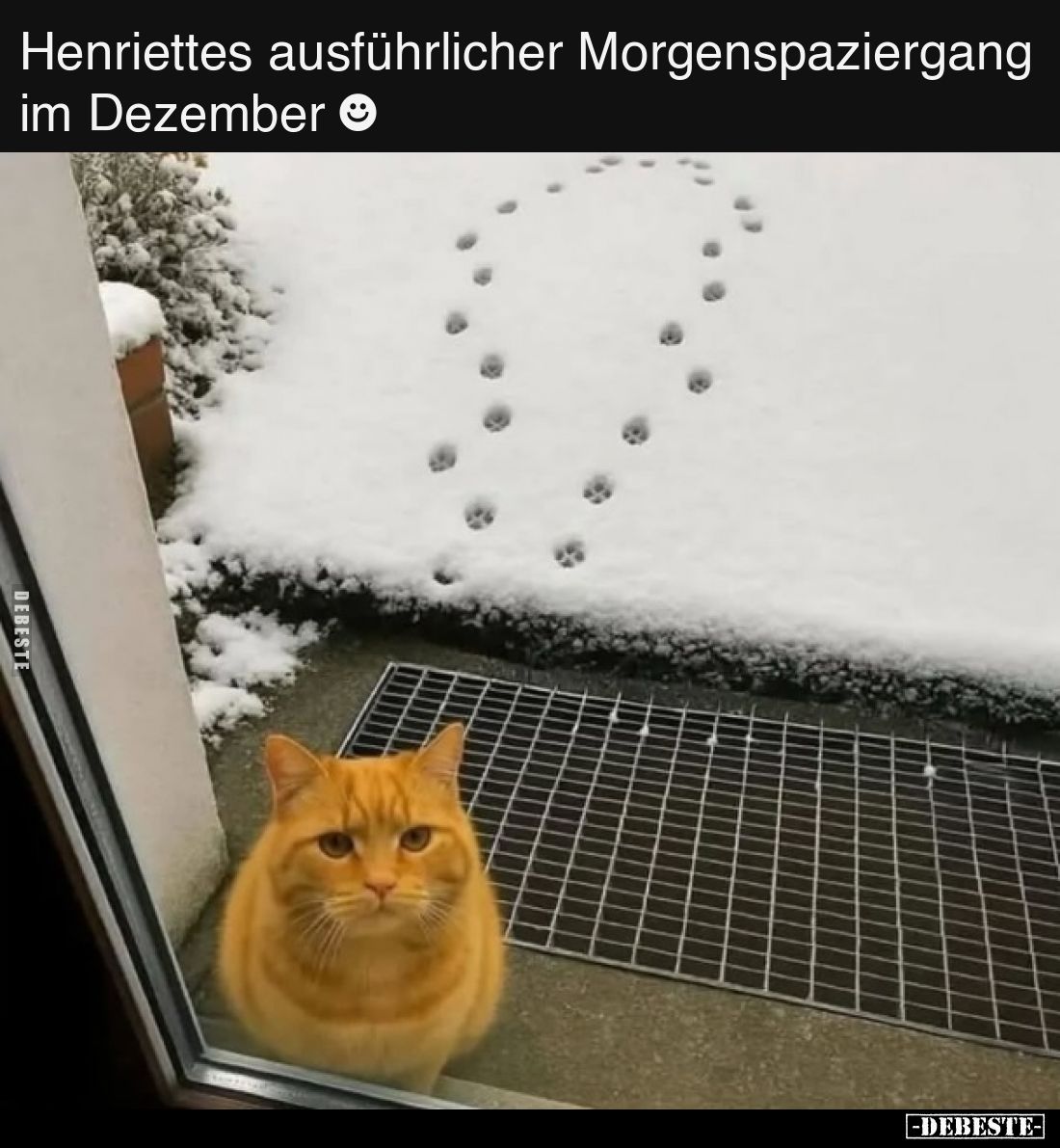Henriettes ausführlicher Morgenspaziergang im Dezember.