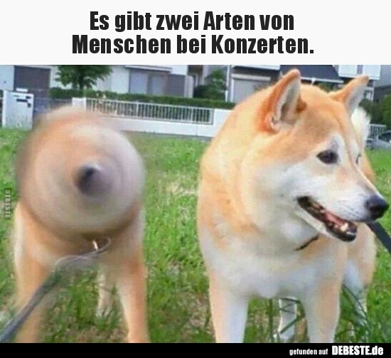 Es gibt zwei Arten von Menschen bei Konzerten...