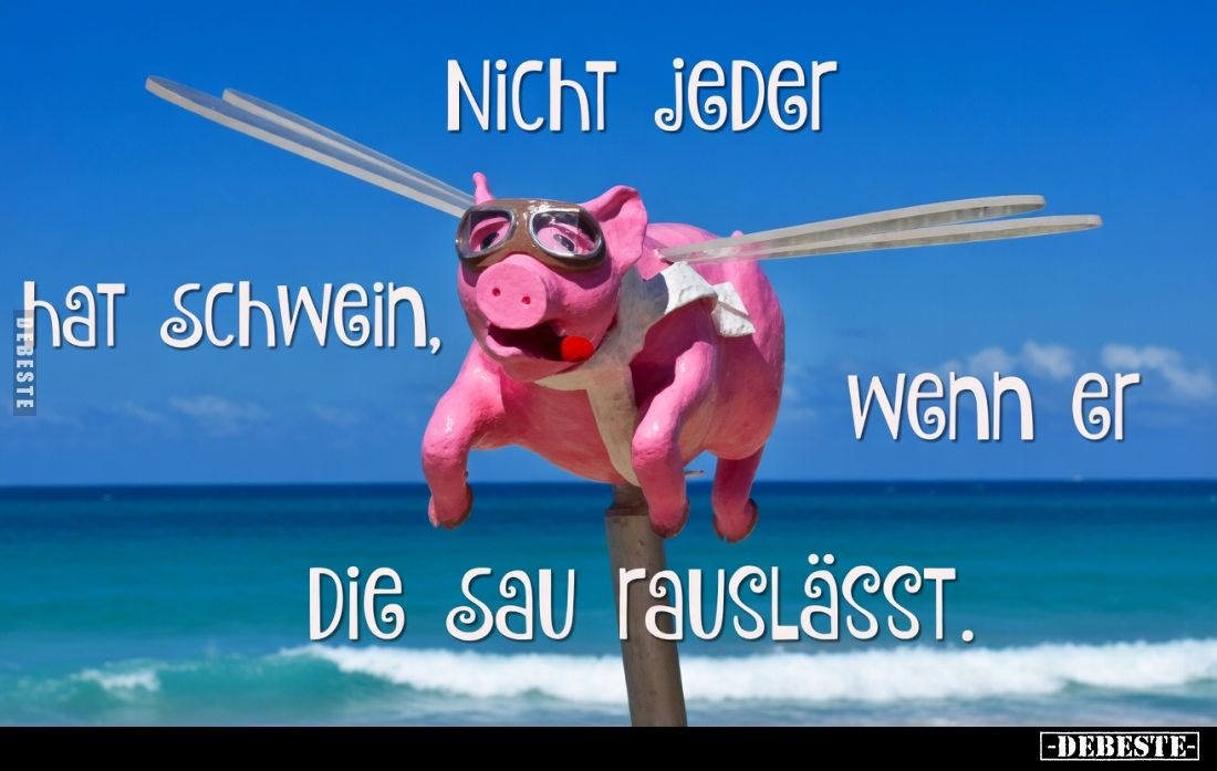 Nicht jeder
hat Schwein,
wenn er
die Sau rauslässt.