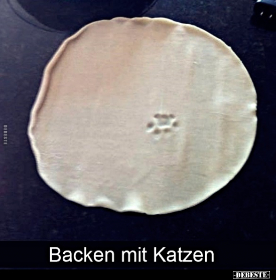 Backen mit Katzen.. - Lustige Bilder | DEBESTE.de